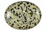 1.8" Polished Dalmatian Jasper Pocket Stone  - Photo 2